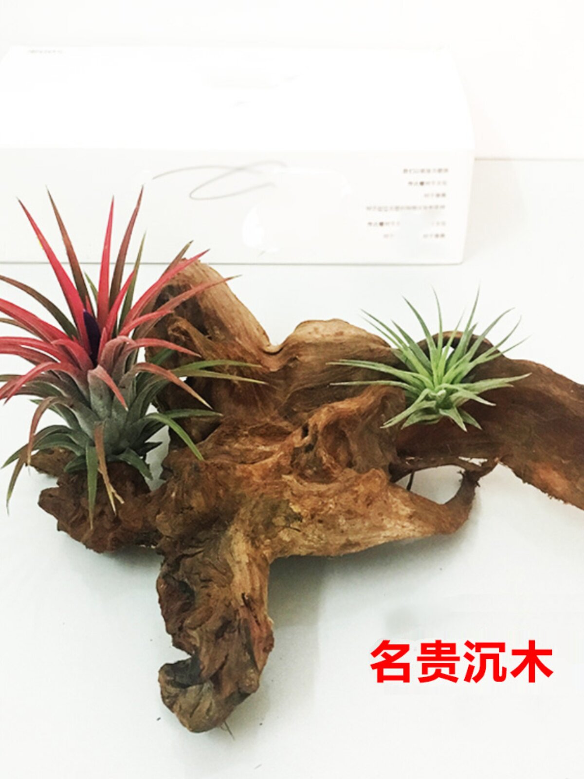 空气凤梨沉木托架底座 造型随机 创意空凤支架鱼缸造景天然造景木