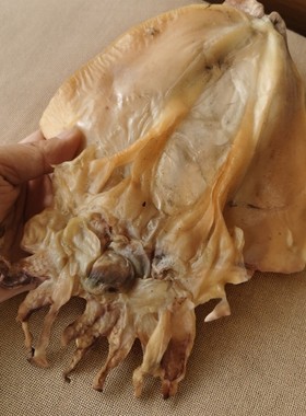 苍南正宗野生墨鱼干海鲜礼品深海大乌贼干墨鱼头新鲜风味独特煲汤