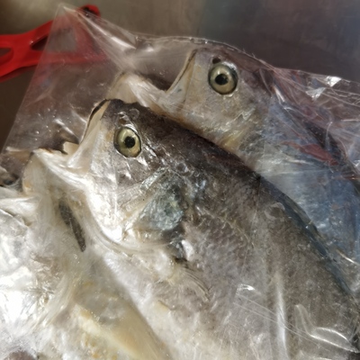 温州苍南特产微咸黄鱼鲞醇香大黄鱼干半干鱼鲞咸鱼大黄花鱼 5成干