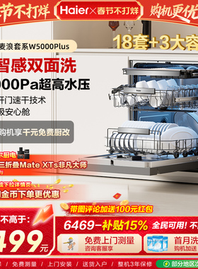 海尔麦浪洗碗机变频双面洗18套家用全自动嵌入式可消毒W5000Plus