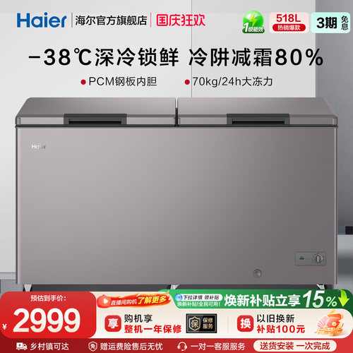 Haier/海尔商用大冰柜冷柜