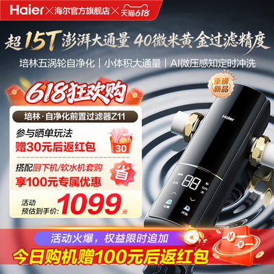 海尔净水前置过滤器培林自净化家用自来水全自动反冲洗大流量Z11