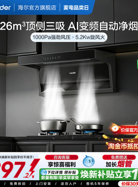 换新补贴 海尔出品统帅抽油烟机燃气灶一套厨房家用顶侧三吸9762