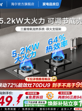 海尔燃气灶煤气灶双灶家用天然气猛火灶台嵌入式台式大火力Q2BE6