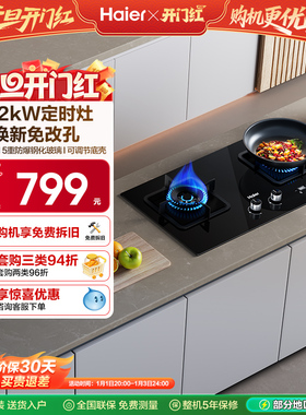 海尔燃气灶煤气灶双灶家用灶台猛火灶炉灶天然气灶定时灶Q2BE7