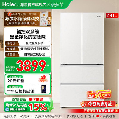 Haier/海尔 BCD-541WGHFDC9GPU1