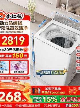 海尔小红花波轮双动力精华洗10kg大容量家用全自动洗衣机73M