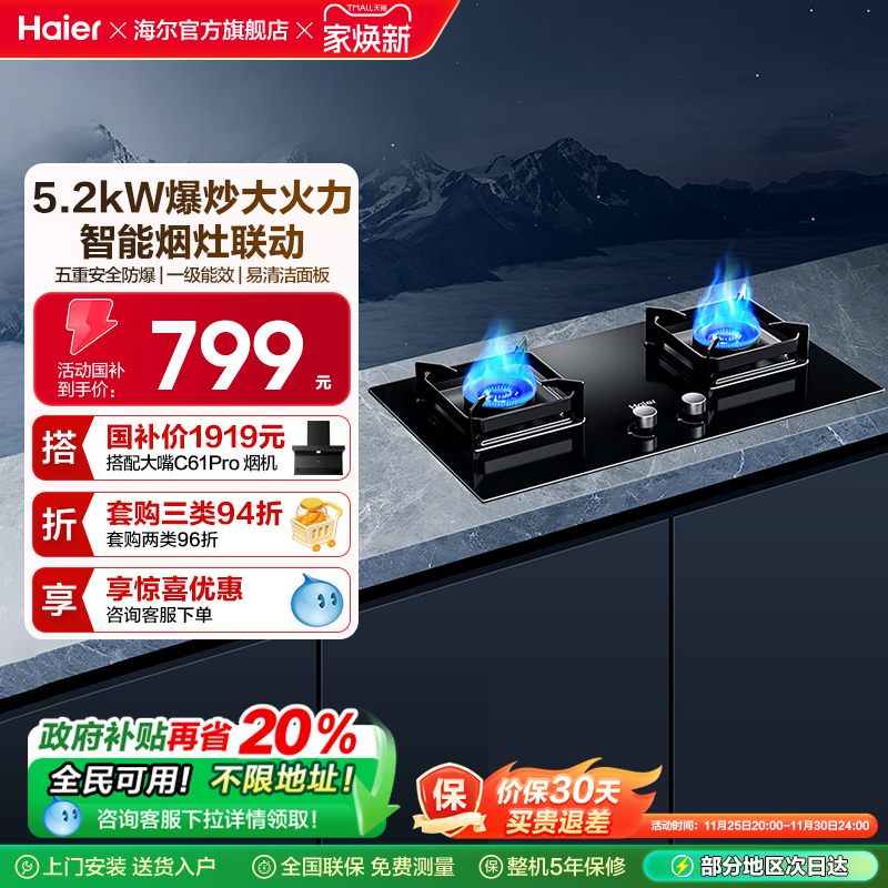 海尔燃气灶煤气灶家用双灶天然气灶台厨房家用煤气炉灶具Q2BE58