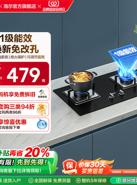 海尔燃气灶煤气灶双灶家用灶台猛火灶炉灶天然气灶Q2BE1