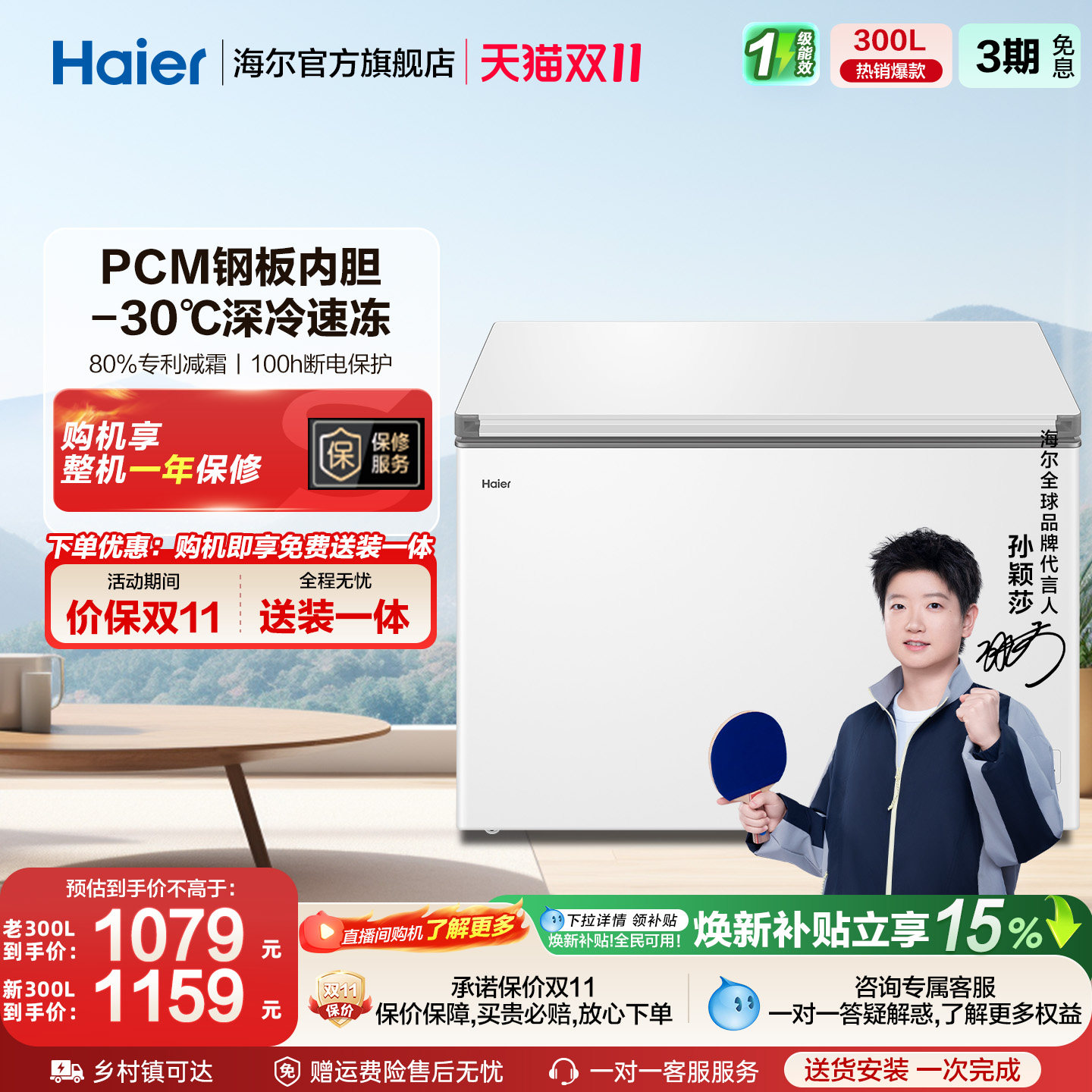 【新品】海尔300升家用两用冷冻小型冰箱冰柜大容量商用冷藏冷柜