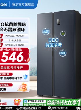 国家补贴海尔出品统帅538L对开双开门无霜一级变频大容量家用冰箱