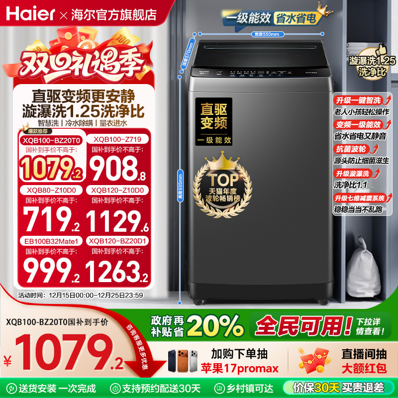 海尔10kg直驱变频波轮洗衣机