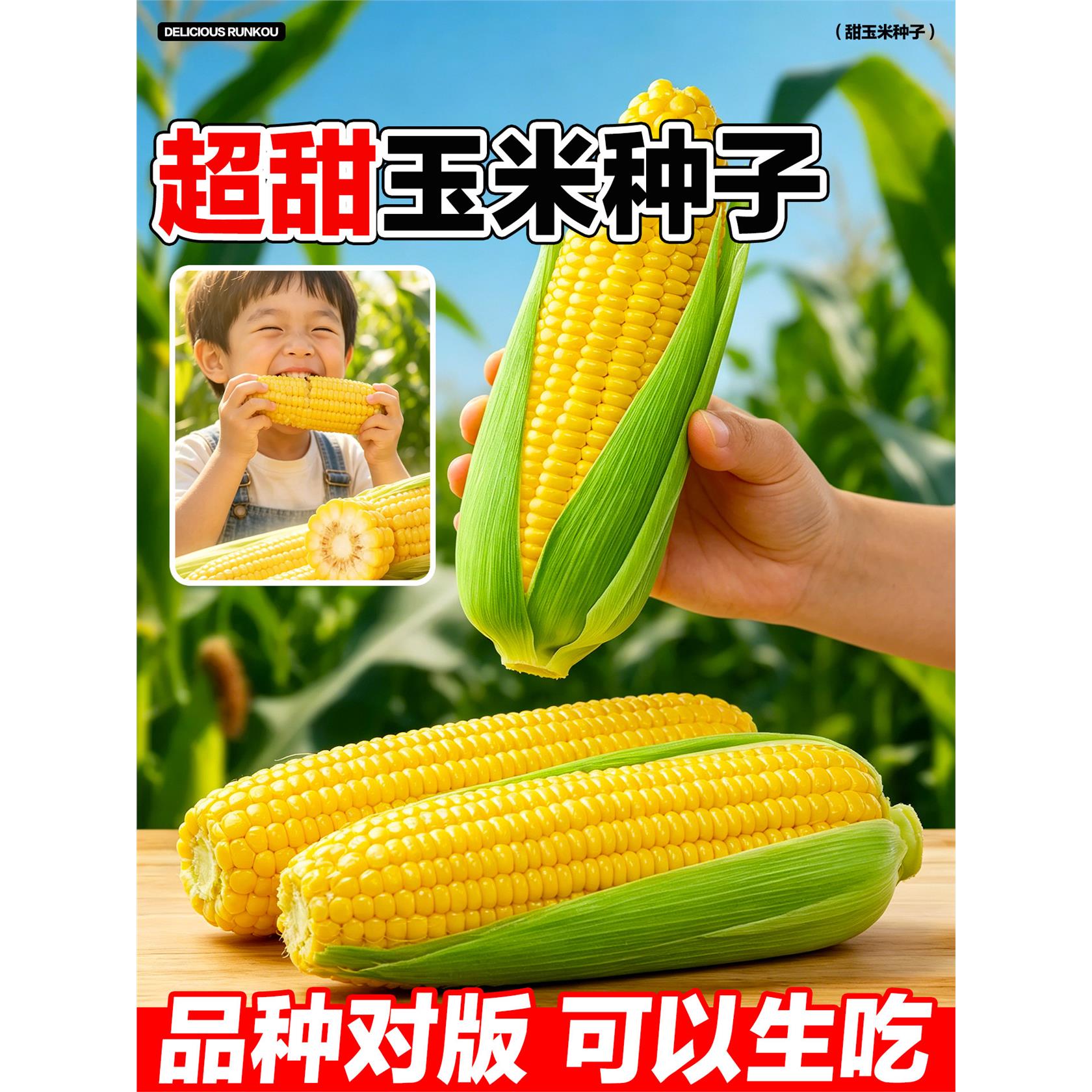 甜玉米种子正宗官方旗舰图片