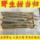 野生甜当归四川高原藏区无硫甜当归中药材云南土当归整根干货250g