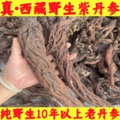 西藏野生丹参250g整根紫丹参藏丹参西藏中药材野生老丹参头根无硫