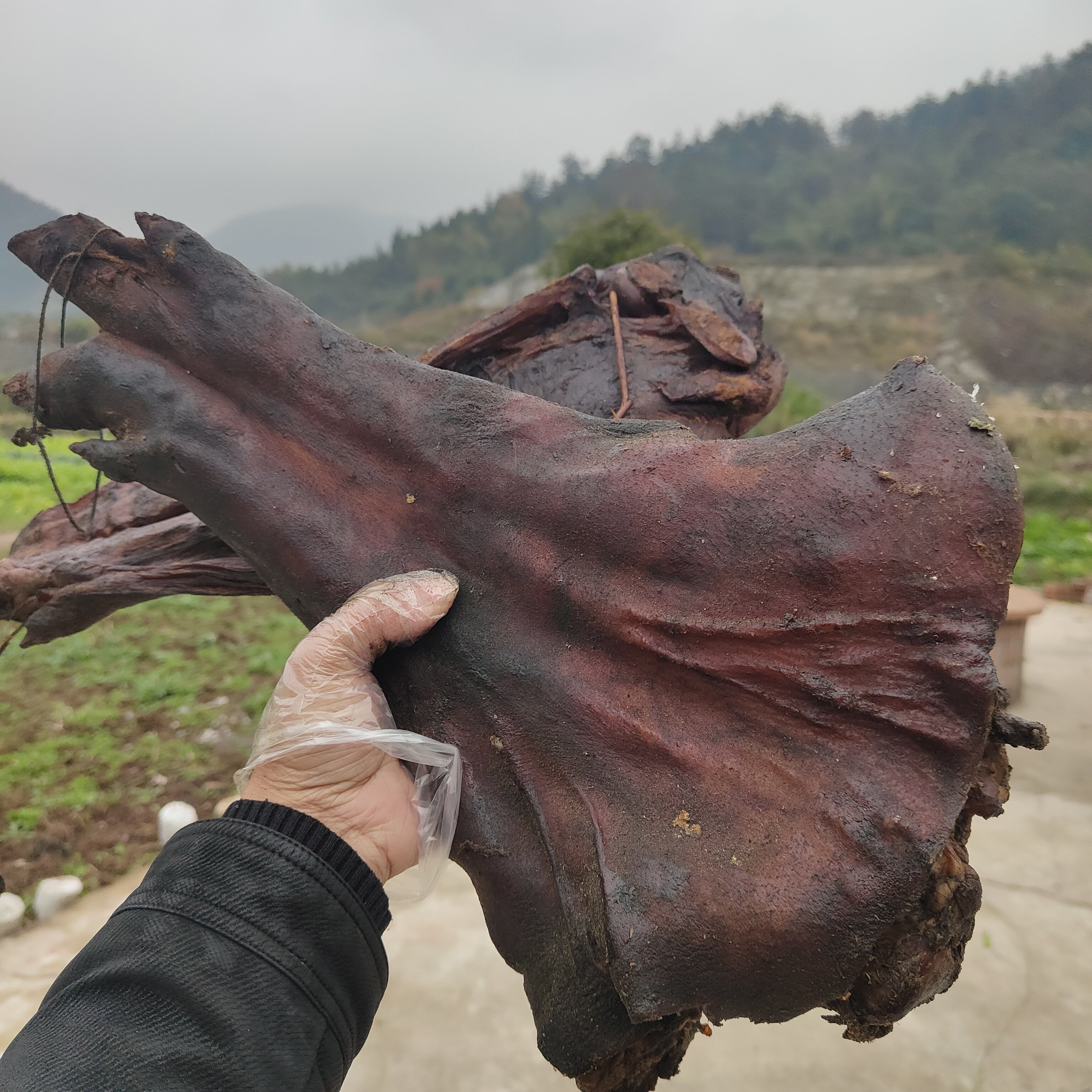 湖南特产乡里过年腊猪脚