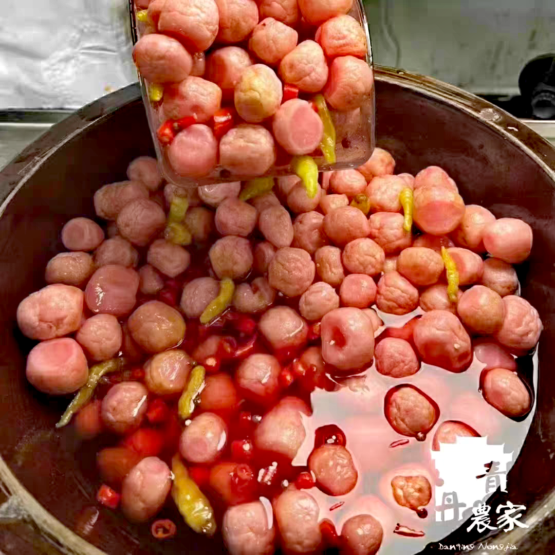 湖南泡菜樱桃小萝卜酸萝卜酸甜爽口小姐姐 网红小吃