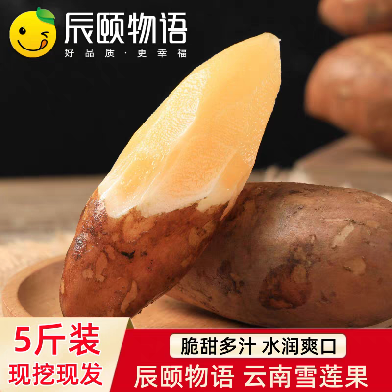 辰颐物语长条果云南雪莲果5斤中大果 清甜脆爽新鲜水果果园直发,水产肉类/新鲜蔬果/熟食,雪莲果,淘宝优惠券,粉丝福利购,淘宝优惠卷