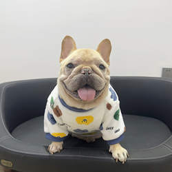 秋冬法国斗牛犬毛绒睡衣宠物狗狗衣服泰迪柯基英斗巴哥胖狗保暖衣