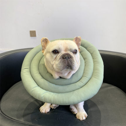宠物狗狗伊丽莎白圈  法斗防舔咬颈脖圈小型犬绝育耻辱圈项圈头套