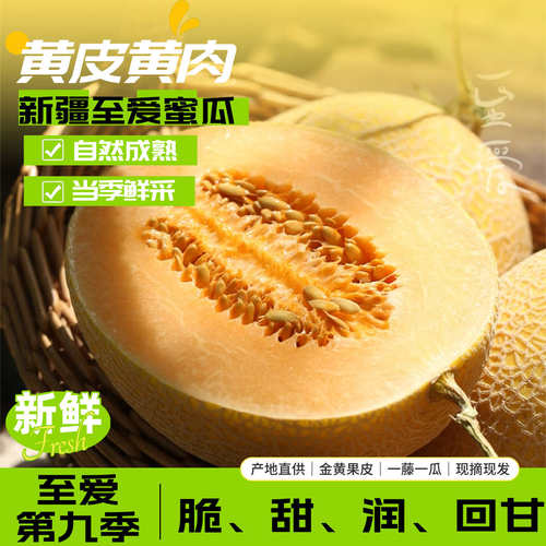 新疆吐鲁番西州蜜哈密瓜脆甜现摘