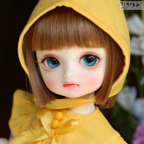 娃岛 luts bjd8分娃娃 Honey Delf PANINI