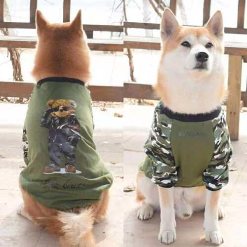 宠物迷彩nasa小熊卫衣柴犬泰迪狗