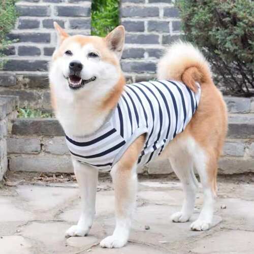春夏薄款纯棉狗狗条纹柴犬边牧