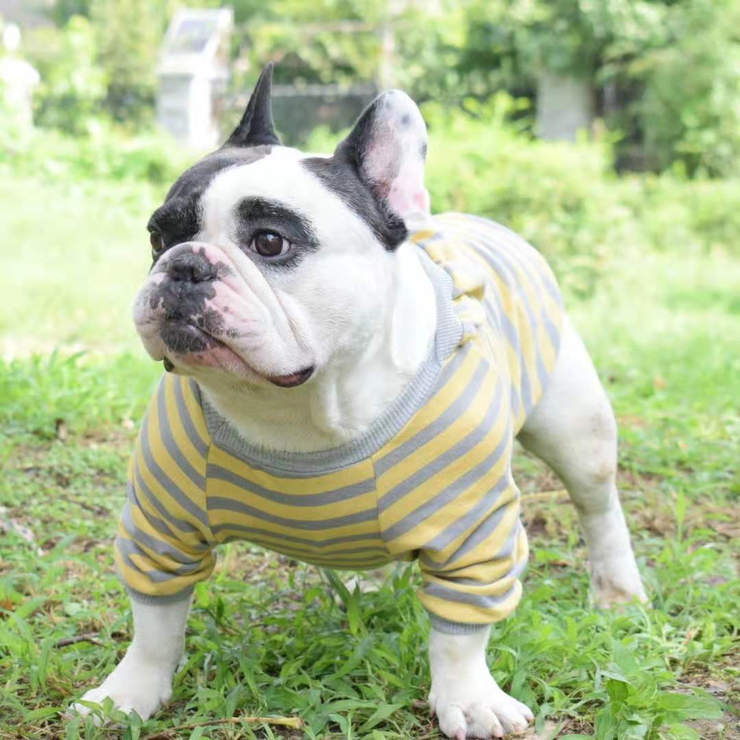春季新款纯棉卫衣帽衫英牛法牛斗牛犬牛头梗比特沙皮巴哥狗衣服