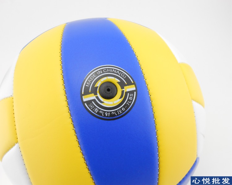 Ballon de volley - Ref 2010233 Image 3