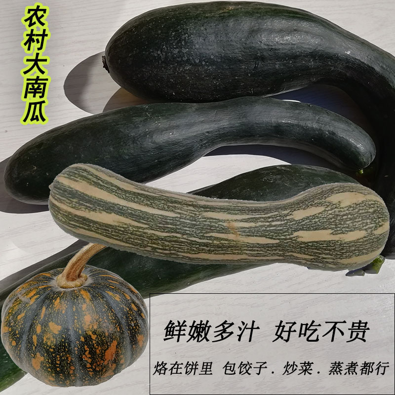 山东特产品种南瓜新鲜蔬菜时令