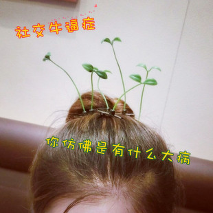 头上长草发卡头上的装饰品可爱头顶小豆芽夹子卖萌神器搞怪发夹潮