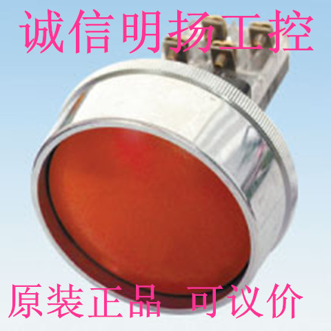 天得特大头按钮TBDR-301 带护圈 开孔22 头  原装