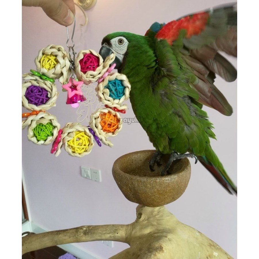 鹦鹉啃咬玩具缤纷藤球花环玄凤牡丹磨嘴缓解咬毛鸟用品用具推荐,宠物/宠物食品及用品,鸟玩具,淘宝优惠券,粉丝福利购,淘宝优惠卷