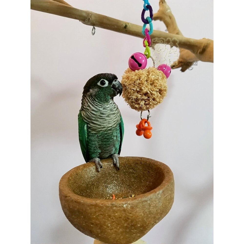 新款推荐鹦鹉啃咬玩具拉菲草球青蛙挂件金太玄凤牡丹虎皮鸟用品,宠物/宠物食品及用品,鸟玩具,淘宝优惠券,粉丝福利购,淘宝优惠卷