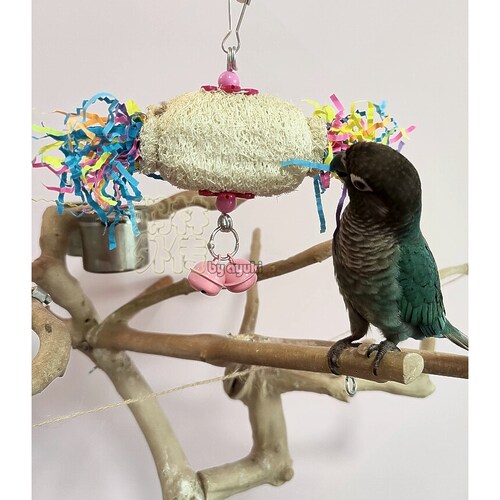 鹉林外传益智鹦鹉玩具啃咬解闷