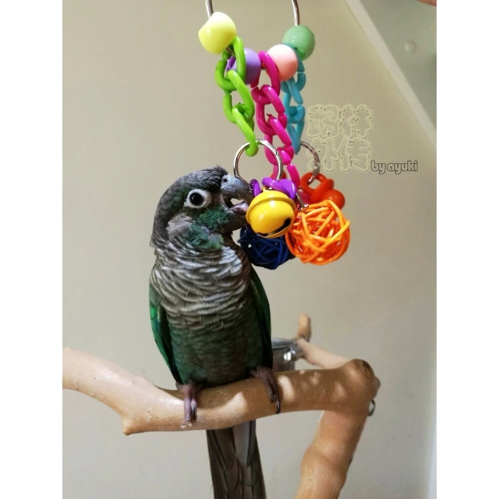 中小型鹦鹉啃咬玩具缤纷亚克力奶嘴藤球铃铛小太玄凤牡丹训练用品,宠物/宠物食品及用品,鸟玩具,淘宝优惠券,粉丝福利购,淘宝优惠卷