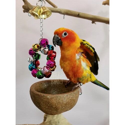 鹉林外传益智鹦鹉玩具啃咬解闷