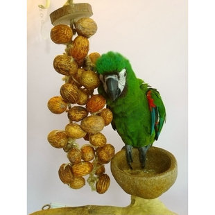 鹦鹉啃咬玩具磨嘴磨牙坚果野果啃咬大串宠物鸟用品玩具鹦鹉大果串