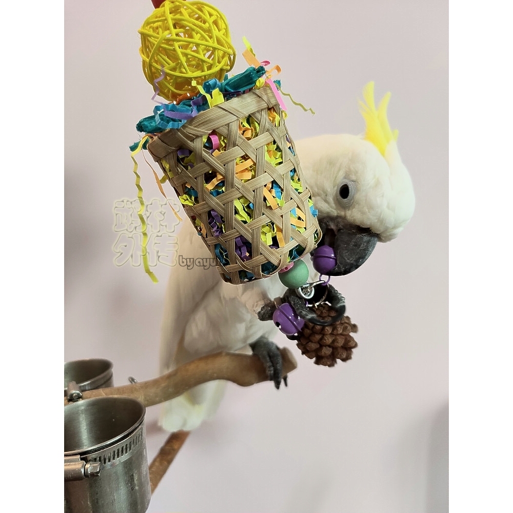 鹉林外传益智鹦鹉玩具啃咬解闷