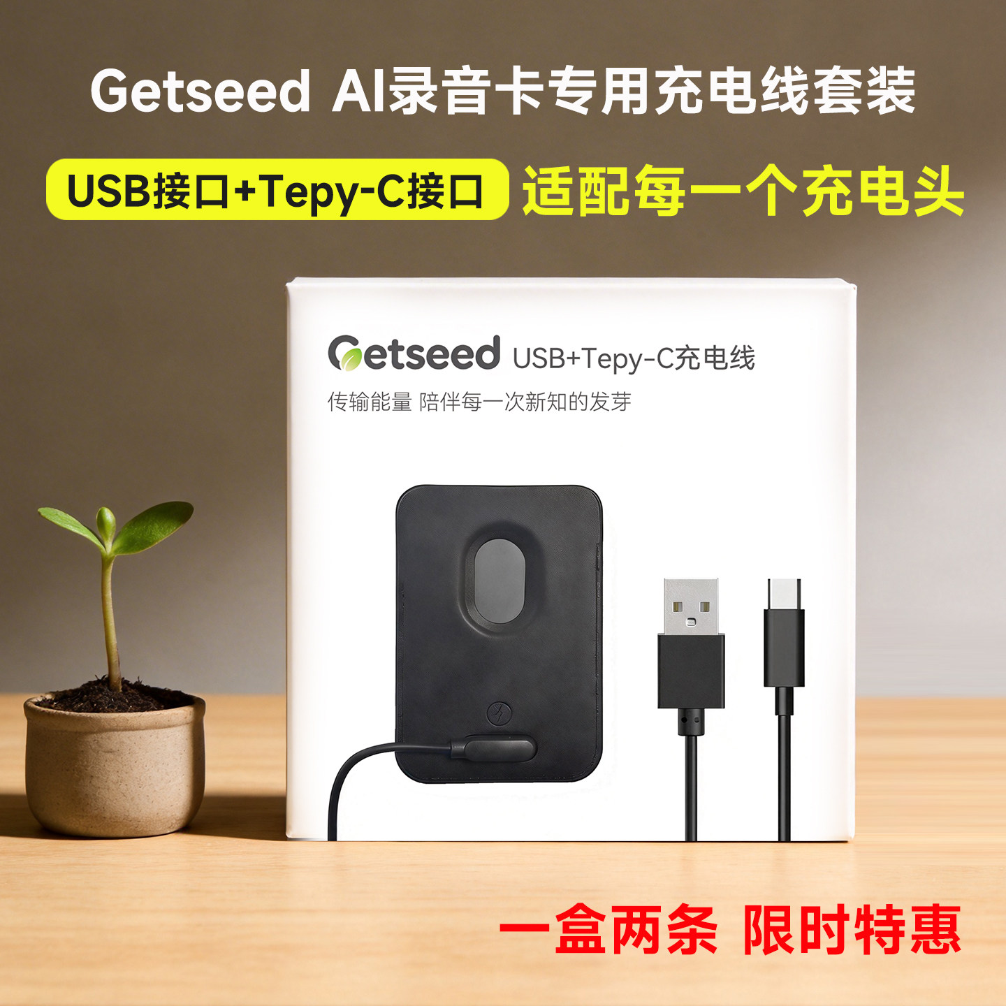 Getseed AI录音卡USB+Tepy-C插口专用充电线 手