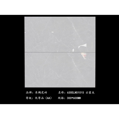 东鹏瓷砖300X600卫生间墙砖63111 63262 63260 63264 63290 63265