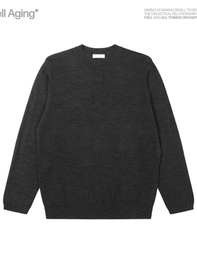 Cell Aging* 羊毛亲肤通勤打底纯色薄款基础套头圆领针织衫毛衣
