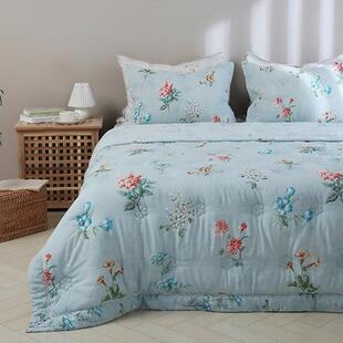 韩国专柜床品DJ 3M新雪丽棉填充奶咖蓝色浪漫满屋 木纤维四件套