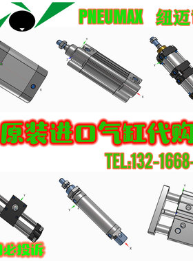 意大利PNEUMAX纽迈司气缸1386/1390/1396/1260/1280/1580/1560/40