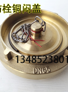 船用消防栓铜闷盖  国标中岛DN40 50 65铜水带接口消防栓堵塞