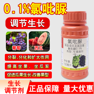 国光果盼施特优0.1%氯吡脲西瓜黄瓜瓜类专用点花授粉药座果膨大素
