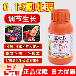 国光果盼施特优0.1%氯吡脲西瓜黄瓜瓜类专用点花授粉药座果膨大素
