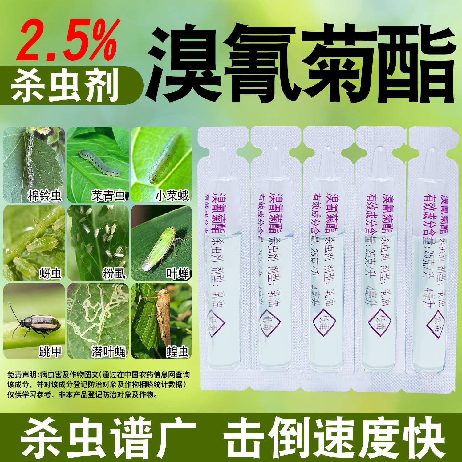 敌杀死溴氰菊酯青虫蚜虫食心虫钻心虫果树蔬菜花卉农药死杀虫剂敌 - 实物图