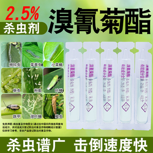 敌杀死溴氰菊酯青虫蚜虫食心虫钻心虫果树蔬菜花卉农药死杀虫剂敌